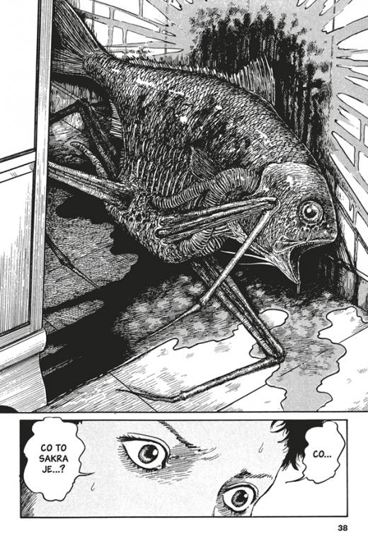 Ukázka komiksu